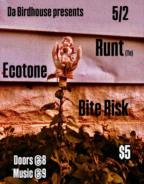 5/2 - Da Birdhouse Presents: Runt (TN), Ecotone, & Bite Risk. Doors at 8pm, Music at 9pm. $5