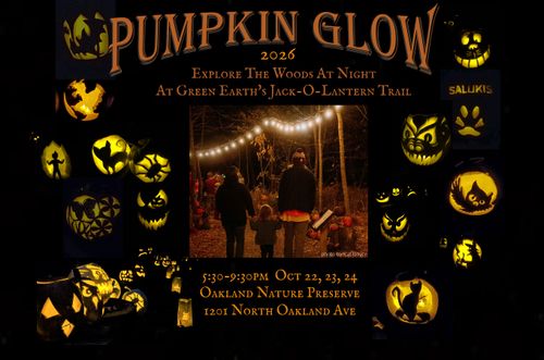 pumpkin glow 2026
explore the woods at night
at green earth's jack-o-lantern trail
5:30-9:30 pm oct 22, 23, 24
1201 north oakland ave