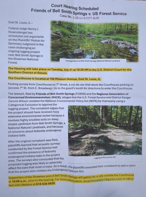 Fight the Logging of Bell Smith Springs!