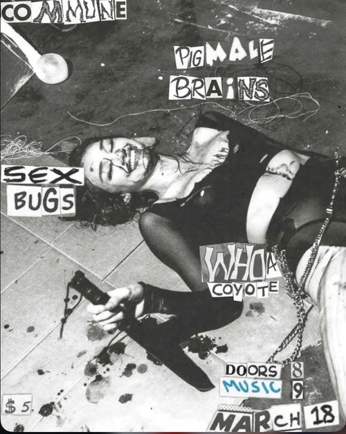 Pigmale Brains, Sex Bugs, Whoa Coyote
